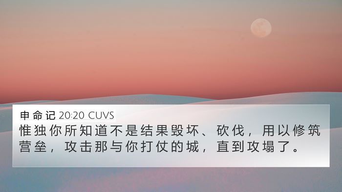 申 命 记 20:20 CUVS 4K Wallpaper - 惟 独 你 所 知 道 不 是 结 果 毁 坏 - 4K Wallpaper Bible Verse
