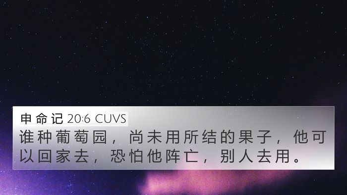 申 命 记 20:6 CUVS Bible Verse Image