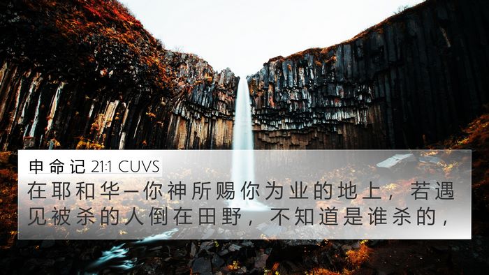 申 命 记 21:1 CUVS Bible Verse Image