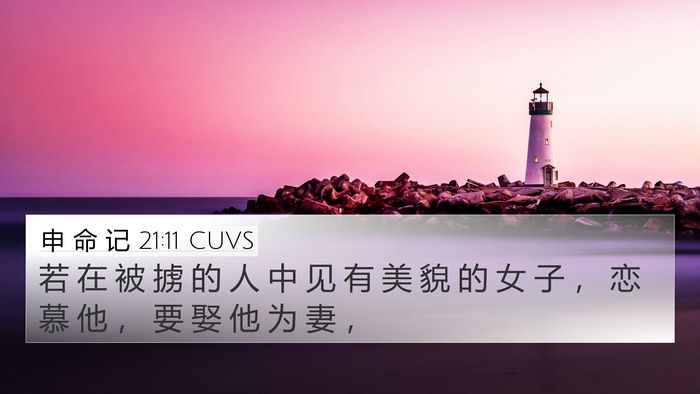 申 命 记 21:11 CUVS 4K Wallpaper - 若 在 被 掳 的 人 中 见 有 美 貌 的 - 4K Wallpaper Bible Verse