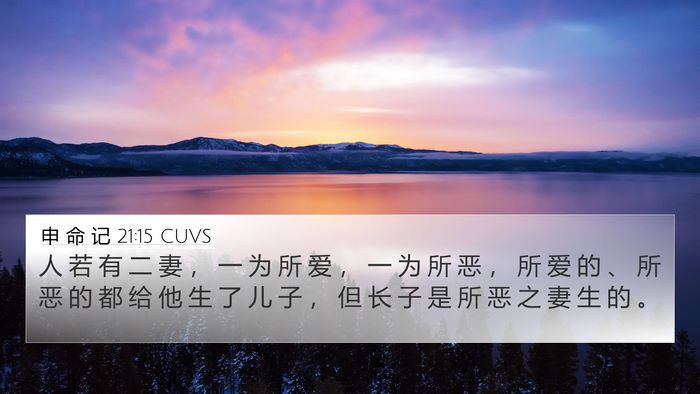 申 命 记 21:15 CUVS Bible Verse Image