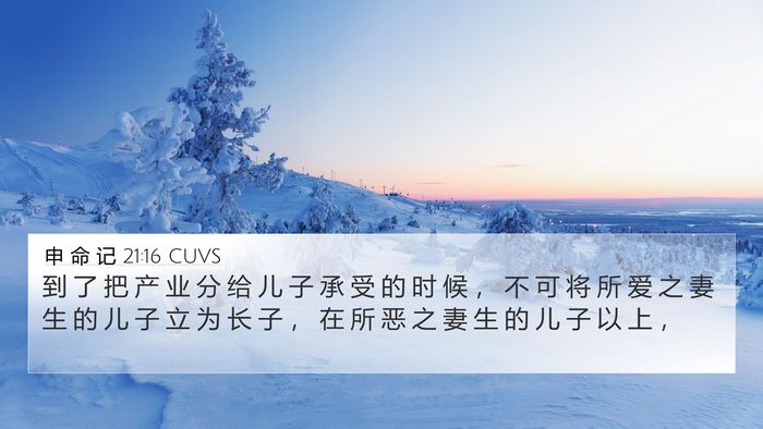 申 命 记 21:16 CUVS Bible Verse Image