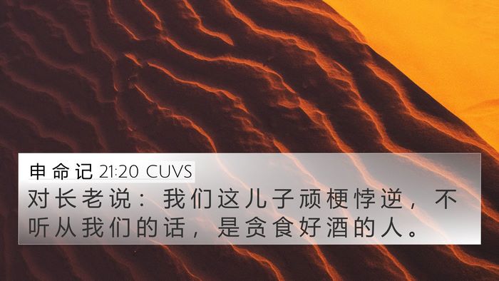 申 命 记 21:20 CUVS 4K Wallpaper - 对 长 老 说 ： 我 们 这 儿 子 顽 梗 - 4K Wallpaper Bible Verse