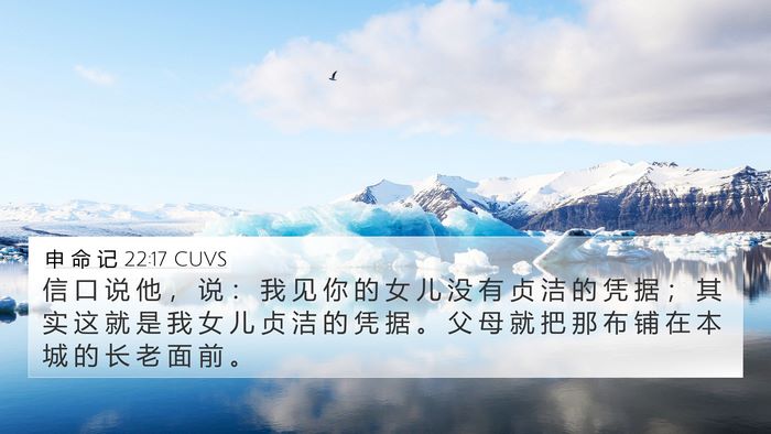 申 命 记 22:17 CUVS 4K Wallpaper - 信 口 说 他 ， 说 ： 我 见 你 的 女 - 4K Wallpaper Bible Verse