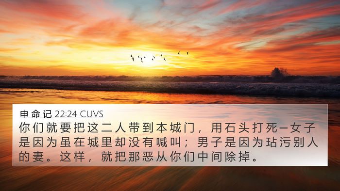申 命 记 22:24 CUVS Bible Verse Image