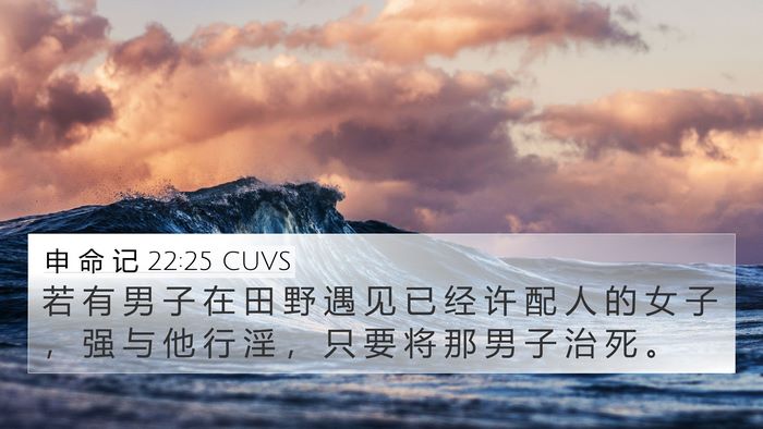 申 命 记 22:25 CUVS Bible Verse Image
