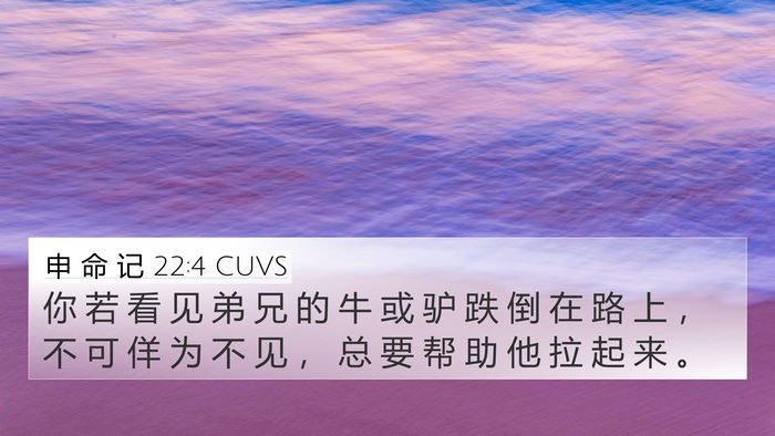 申 命 记 22:4 CUVS 4K Wallpaper - 你 若 看 见 弟 兄 的 牛 或 驴 跌 倒 - 4K Wallpaper Bible Verse