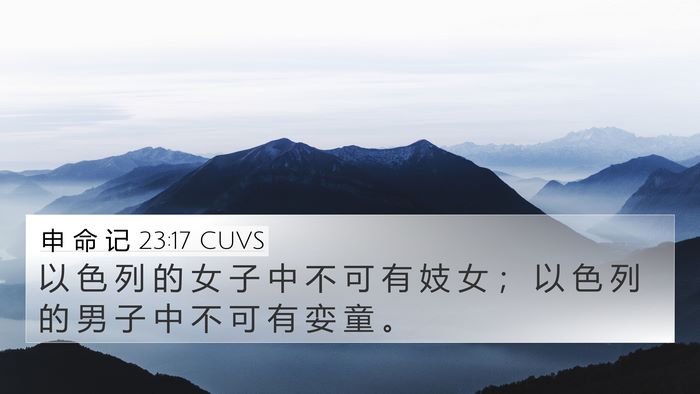 申 命 记 23:17 CUVS Bible Verse Image