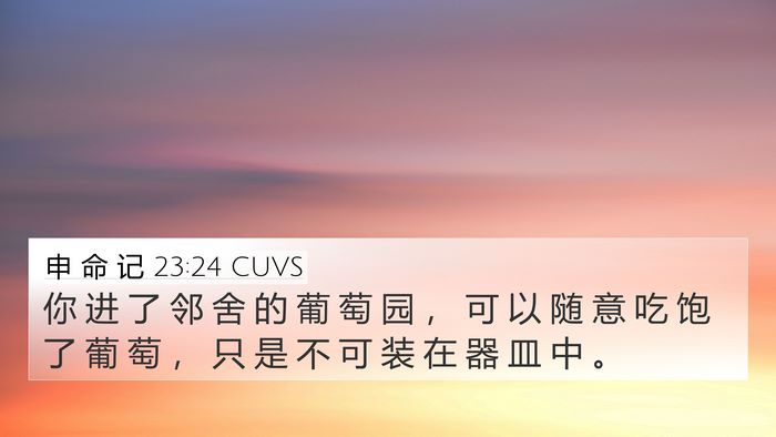 申 命 记 23:24 CUVS Bible Verse Image