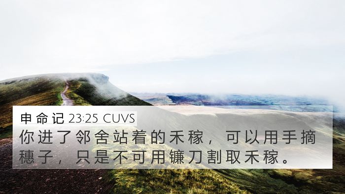 申 命 记 23:25 CUVS 4K Wallpaper - 你 进 了 邻 舍 站 着 的 禾 稼 ， 可 - 4K Wallpaper Bible Verse