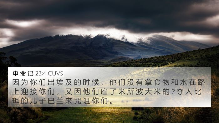 申 命 记 23:4 CUVS Bible Verse Image