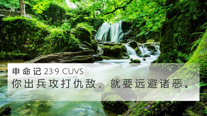 申 命 记 23:9 CUVS Bible Verse Image