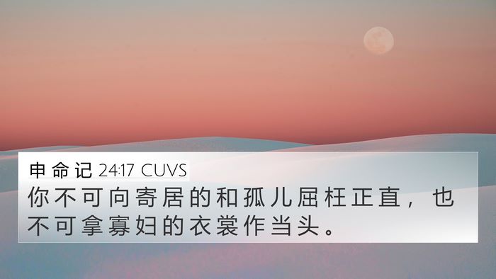 申 命 记 24:17 CUVS Bible Verse Image