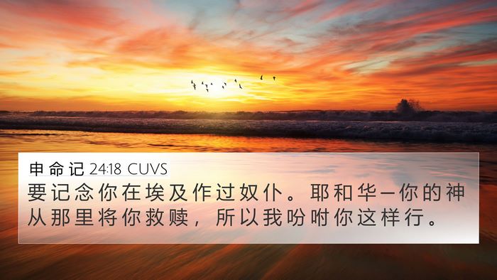 申 命 记 24:18 CUVS Bible Verse Image