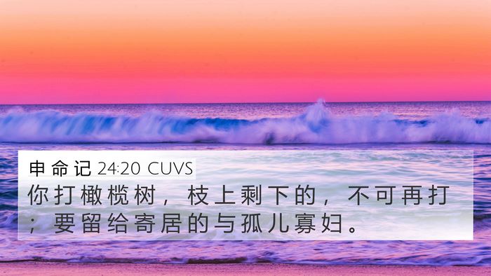申 命 记 24:20 CUVS 4K Wallpaper - 你 打 橄 榄 树 ， 枝 上 剩 下 的 ， - 4K Wallpaper Bible Verse