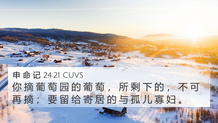 申 命 记 24:21 CUVS Bible Verse Image