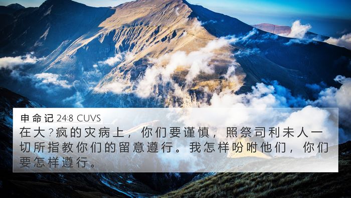 申 命 记 24:8 CUVS Bible Verse Image