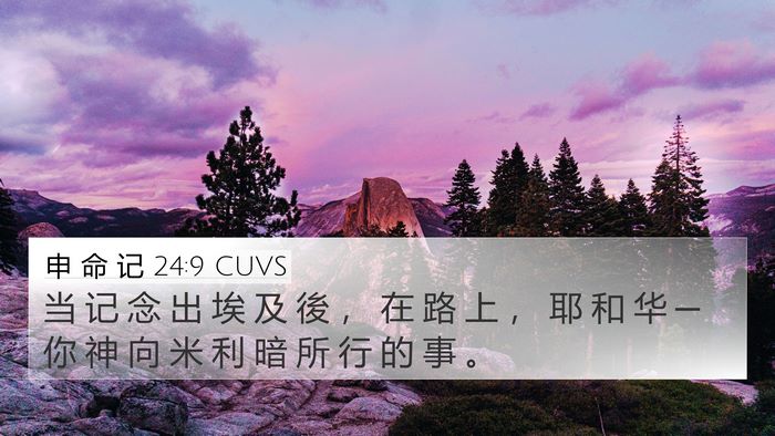 申 命 记 24:9 CUVS 4K Wallpaper - 当 记 念 出 埃 及 後 ， 在 路 上 ， - 4K Wallpaper Bible Verse
