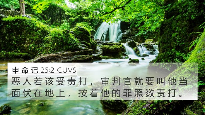 申 命 记 25:2 CUVS Bible Verse Image
