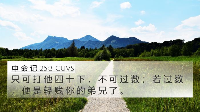申 命 记 25:3 CUVS 4K Wallpaper - 只 可 打 他 四 十 下 ， 不 可 过 数 - 4K Wallpaper Bible Verse