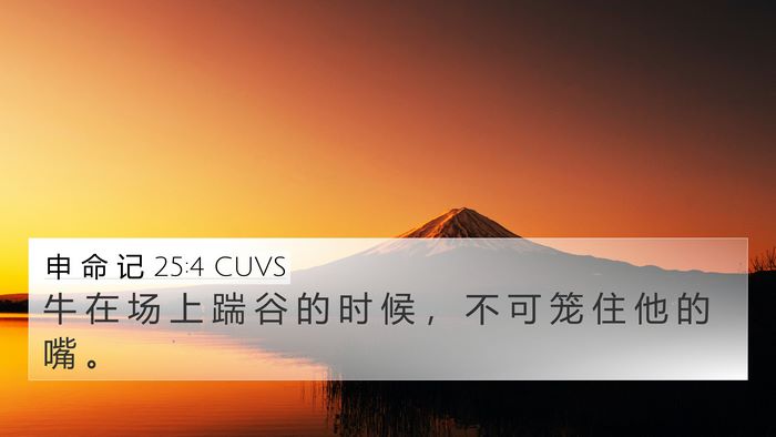 申 命 记 25:4 CUVS Bible Verse Image