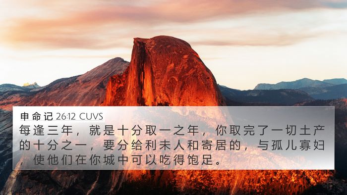申 命 记 26:12 CUVS Bible Verse Image