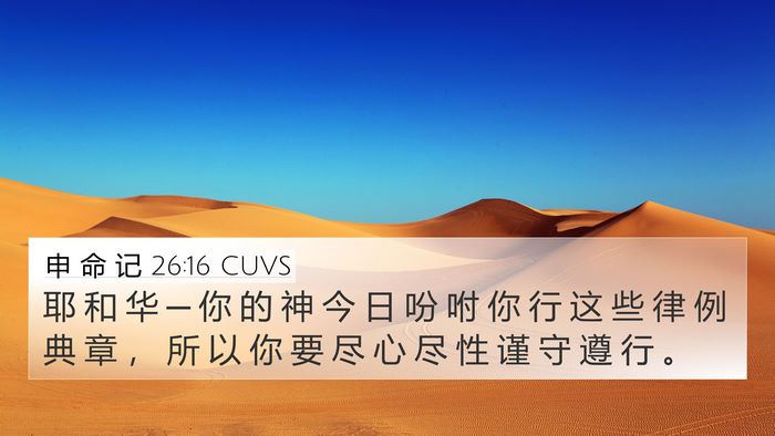 申 命 记 26:16 CUVS Bible Verse Image