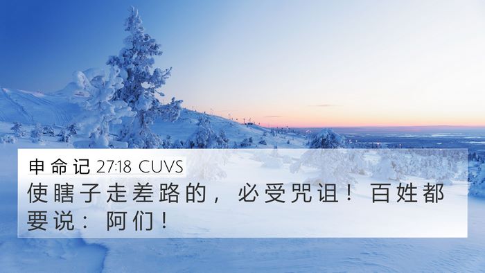 申 命 记 27:18 CUVS Bible Verse Image
