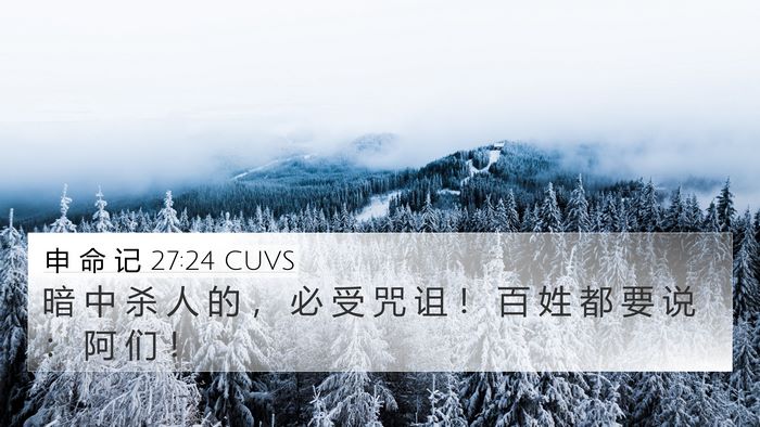 申 命 记 27:24 CUVS Bible Verse Image