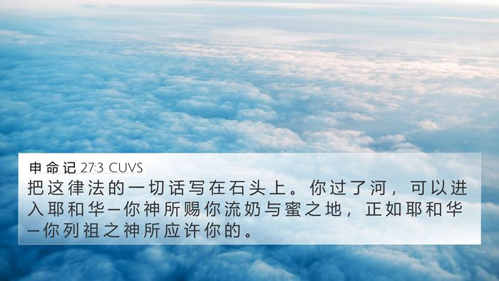 申 命 记 27:3 CUVS Bible Verse Image