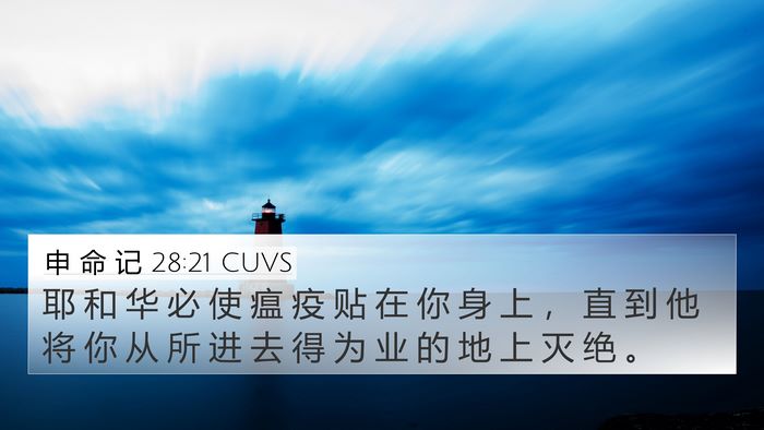 申 命 记 28:21 CUVS Bible Verse Image