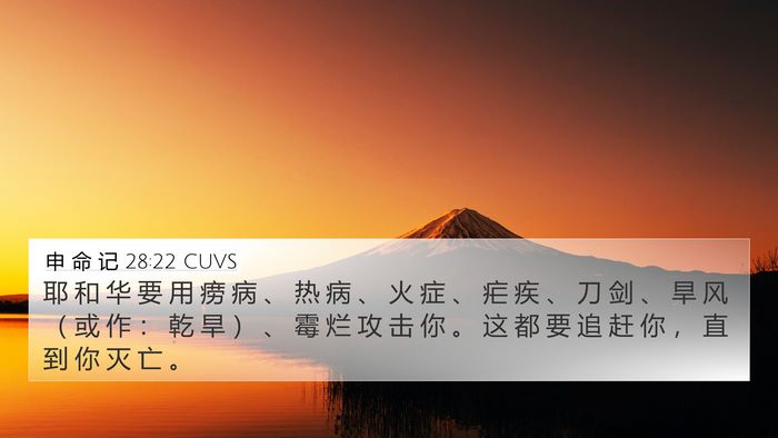 申 命 记 28:22 CUVS Bible Verse Image