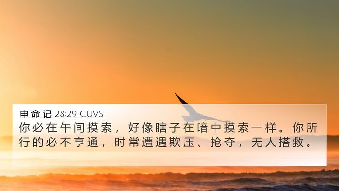 申 命 记 28:29 CUVS Bible Verse Image