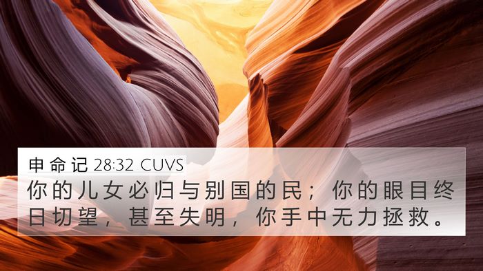 申 命 记 28:32 CUVS Bible Verse Image
