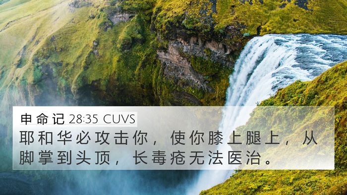 申 命 记 28:35 CUVS Bible Verse Image