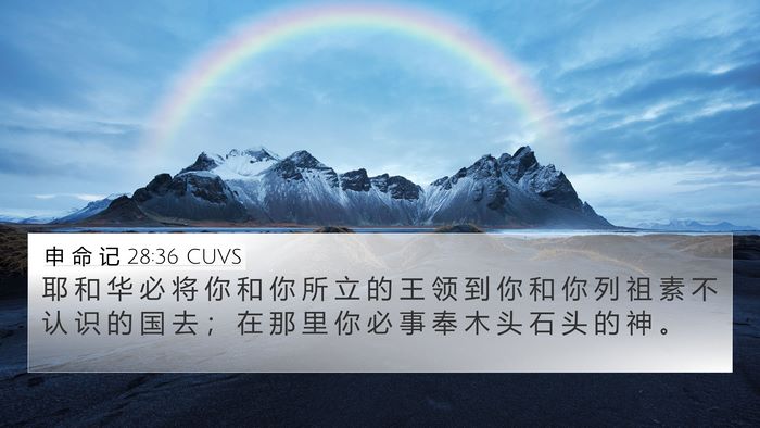 申 命 记 28:36 CUVS Bible Verse Image