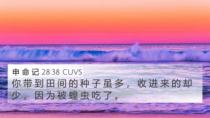 申 命 记 28:38 CUVS Bible Verse Image