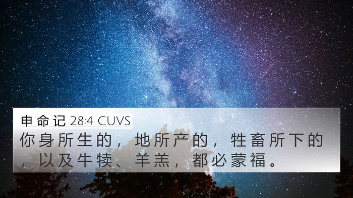 申 命 记 28:4 CUVS Bible Verse Image