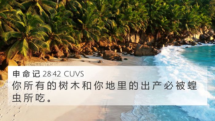 申 命 记 28:42 CUVS Bible Verse Image