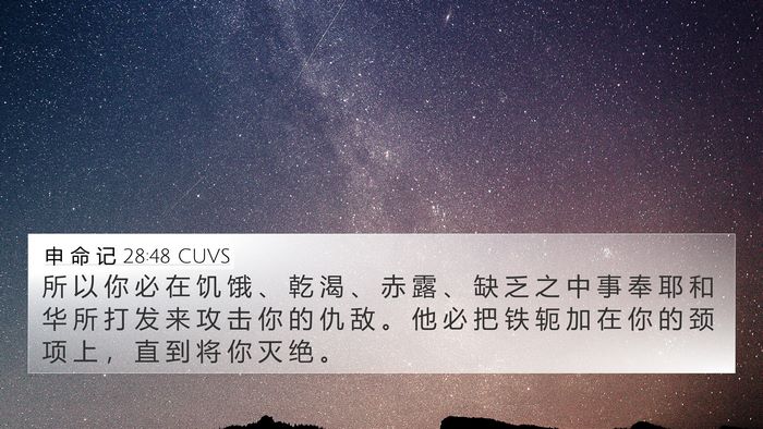 申 命 记 28:48 CUVS Bible Verse Image