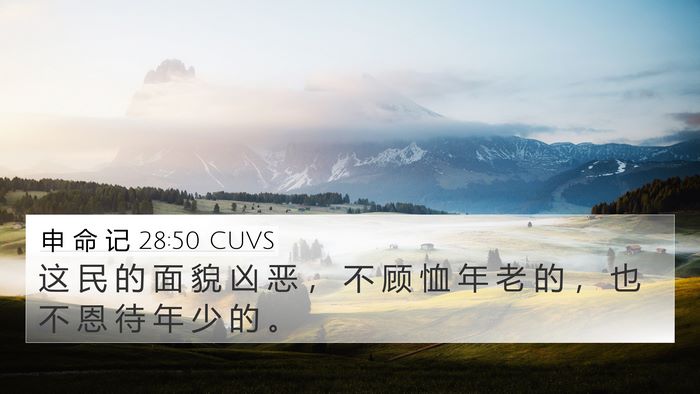 申 命 记 28:50 CUVS Bible Verse Image