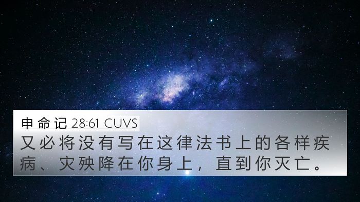 申 命 记 28:61 CUVS 4K Wallpaper - 又 必 将 没 有 写 在 这 律 法 书 上 - 4K Wallpaper Bible Verse