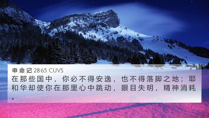 申 命 记 28:65 CUVS Bible Verse Image
