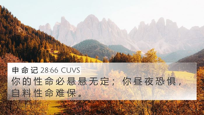 申 命 记 28:66 CUVS 4K Wallpaper - 你 的 性 命 必 悬 悬 无 定 ； 你 昼 - 4K Wallpaper Bible Verse