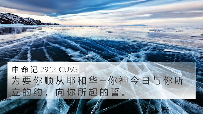 申 命 记 29:12 CUVS Bible Verse Image