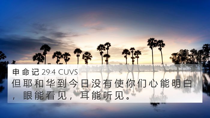 申 命 记 29:4 CUVS Bible Verse Image