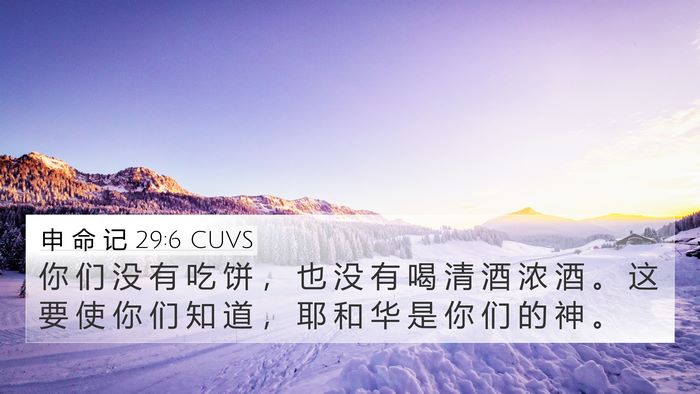 申 命 记 29:6 CUVS 4K Wallpaper - 你 们 没 有 吃 饼 ， 也 没 有 喝 清 - 4K Wallpaper Bible Verse