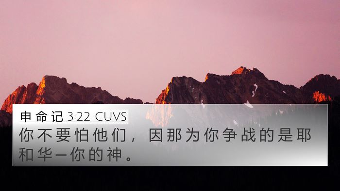 申 命 记 3:22 CUVS Bible Verse Image
