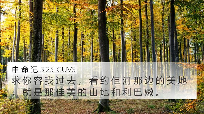 申 命 记 3:25 CUVS Bible Verse Image