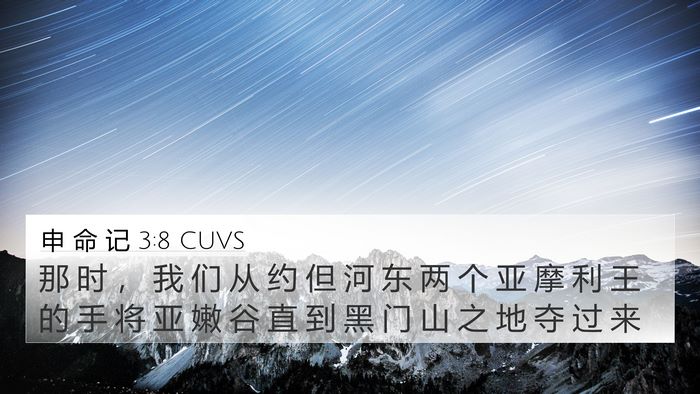 申 命 记 3:8 CUVS Bible Verse Image
